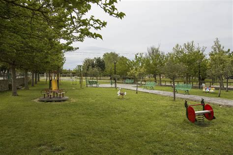 Parco comunale di Luzzara