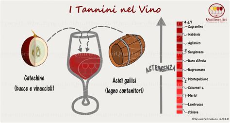 diagramma che illustra l'equilibrio tra acidità, tannini e dolcezza in un vino