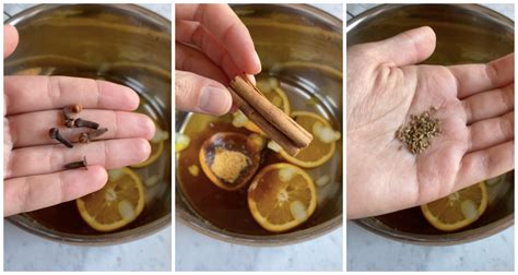 Ingredienti per il punch: mele, sambuco, limone, cannella, chiodi di garofano