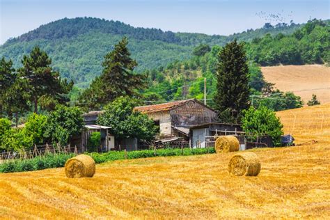 Paesaggio rurale messicano con piantagioni di agave