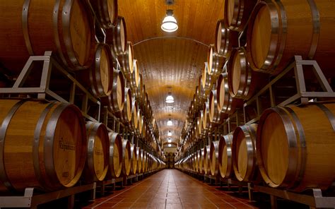 Personale che lavora in una cantina di vino