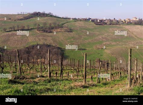 Oltrepò Pavese landscape