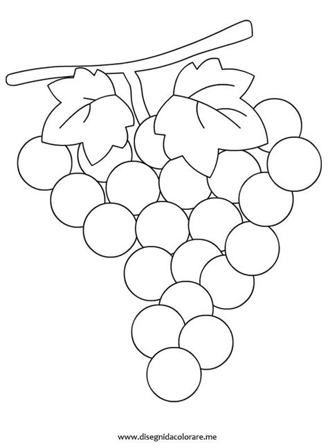 Disegno dettagliato di un grappolo di uva Sauvignon Blanc