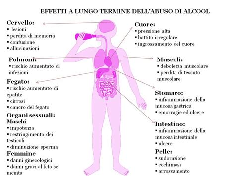Infografica che confronta gli effetti di acqua e birra sulla diuresi