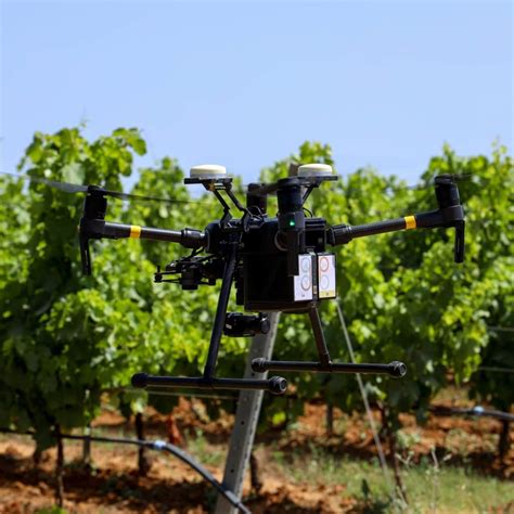 drone che sorvola un vigneto con sensori