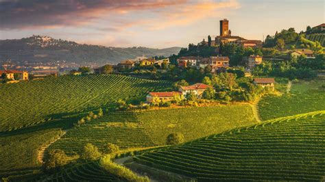 Colline delle Langhe con nebbia mattutina
