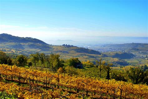 Paesaggio della Valpolicella con vigneti