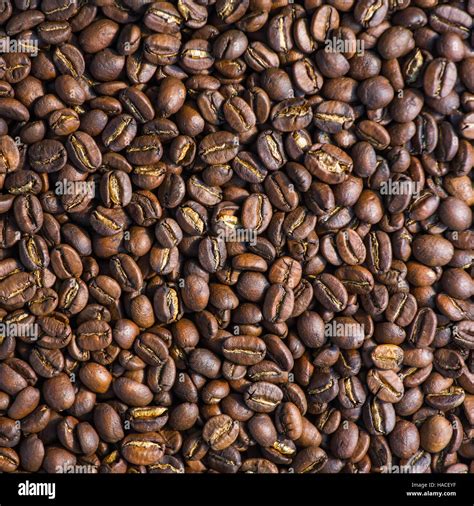 Chicchi di caffè tostati e fagioli di vaniglia