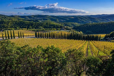 Panorama dei colli del Chianti Classico con vigneti