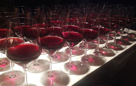 Degustazione di vini Dolcetto