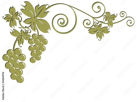 Grappoli d'uva Famoso maturi su un tralcio di vite