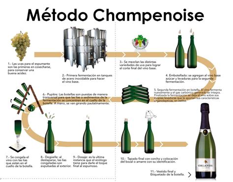 Diagramma del Metodo Champenoise